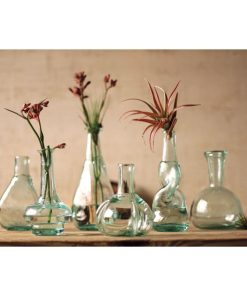 Set Of 6 Bottle Bud Vases